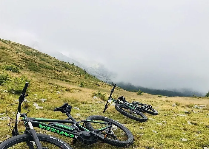 酒店 阿德霍克酒店 3*