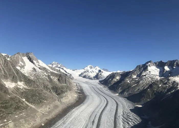 酒店 阿德霍克酒店
